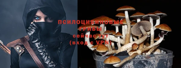синтетический гашиш Беломорск