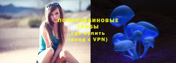 2c-b Богданович