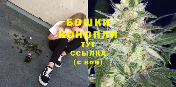 ALPHA PVP Богородицк